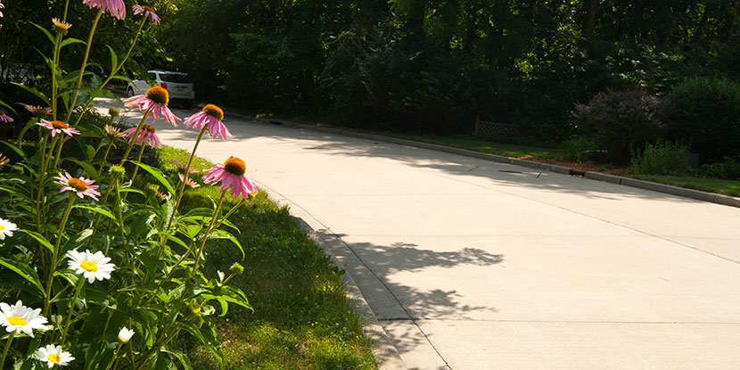 Stacy Lane