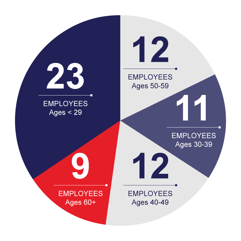 Employee pie chart showing ages